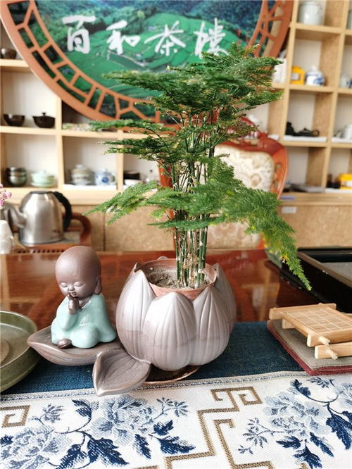 2021新媒體頂級茶館揭曉 山東煙臺抖音人氣網紅茶館服務解析