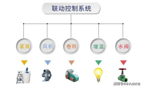福建溫室大棚遠(yuǎn)程測控與智能管理系統(tǒng)