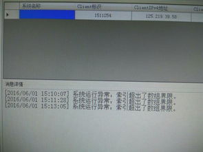 解析系統運行異常 索引超出數組界限及其在信息系統運維中的應對策略